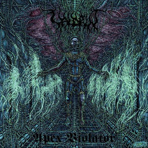 Valdrin - Apex Violator 2XLP ***PRE ORDER***
