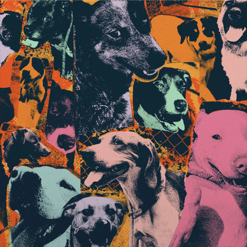 Various Artists - The Dogs of Hope LP ***PRE ORDER***
