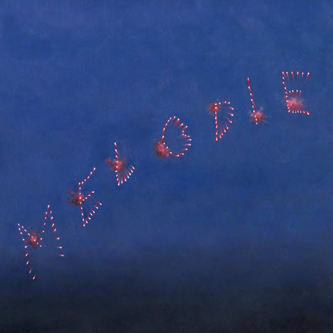 SLOW PULP - MELODIE CD ***PRE ORDER***