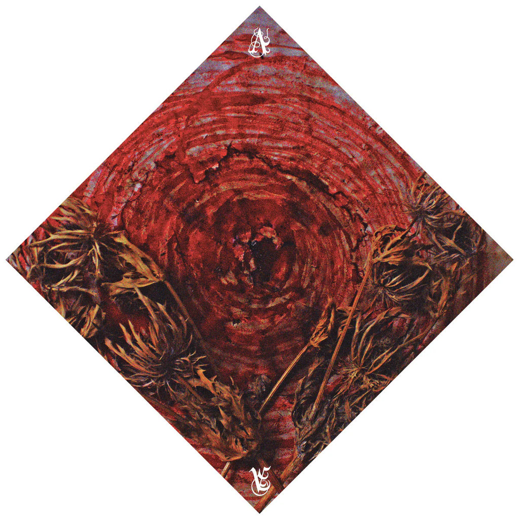 Ainsoph - Affection & Vengeance LP