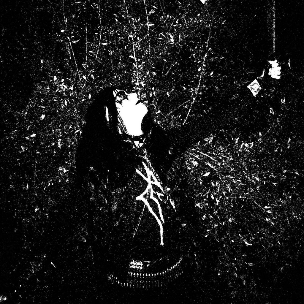 Mäleficentt - Night Of Eternal Darkness LP