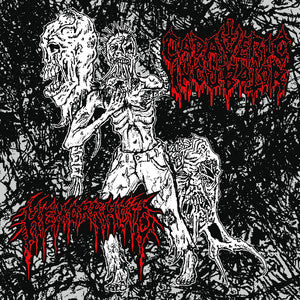HEMORRHOID / SEQUESTRUM - Split 7"
