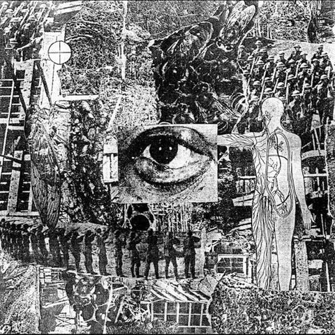 Erosion - Invasive Species ***PRE ORDER***
