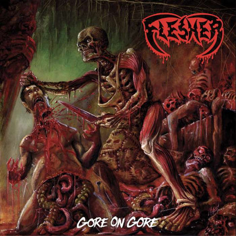 Flesher - Gore on Gore CD ***PRE ORDER***
