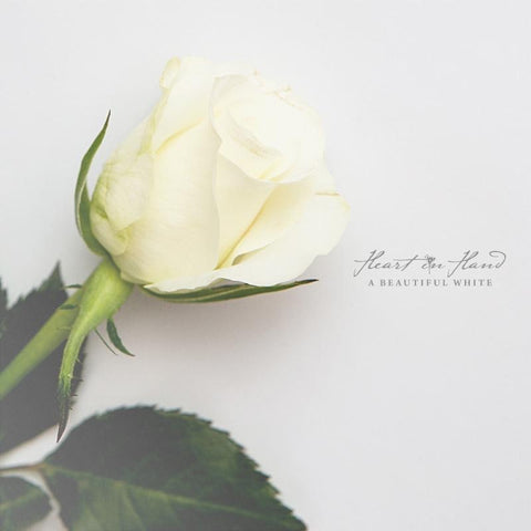 Heart In Hand - A Beautiful White LP