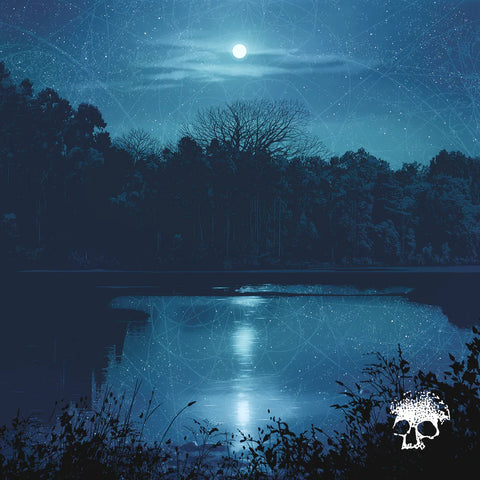 PLANES MISTAKEN FOR STARS - DO YOU STILL LOVE ME LP