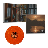 PLANES MISTAKEN FOR STARS - DO YOU STILL LOVE ME LP