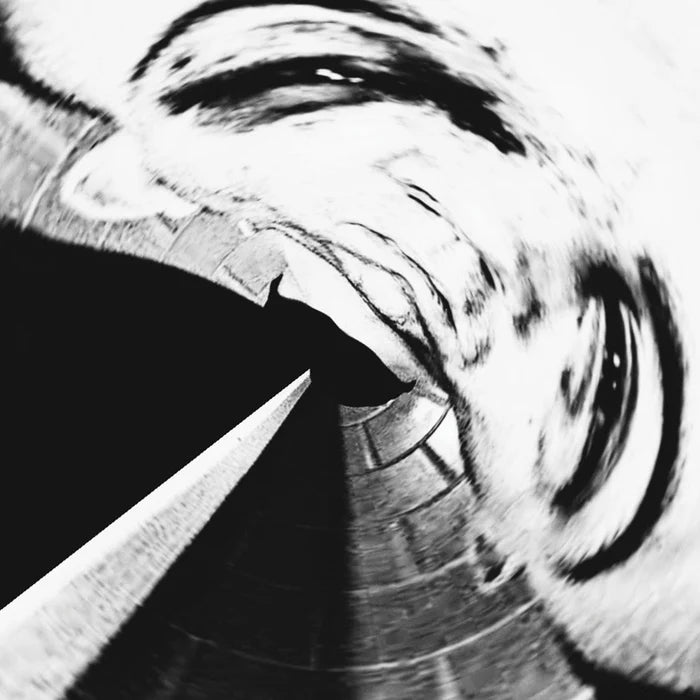SKINHEAD - SKINHEAD LP
