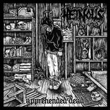 Heinous / SxOxTxE ‎– Apprehended Dead / Information Era Paranoia LP
