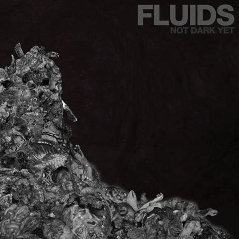 Fluids – Not Dark Yet LP