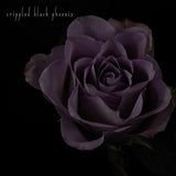 Crippled Black Phoenix - Painful Reminder / Dead Is Dead - 10"