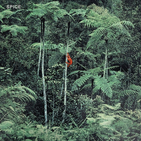 Spice - Spice LP