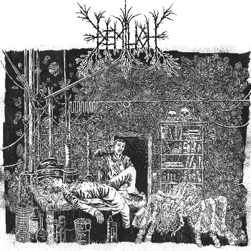 Demilich ‎– Em9t2ness Of Van2s1ing / V34ish6ng 0f Emptiness 2XLP