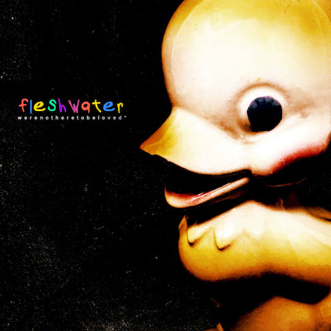Fleshwater - We're Not Here To Be Loved LP