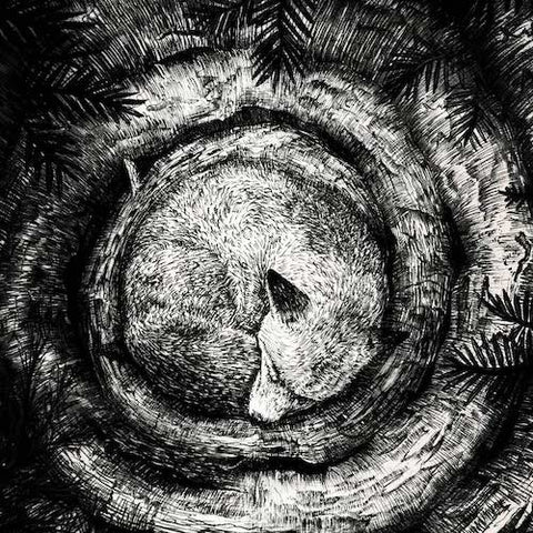 Forhist ‎– Forhist LP