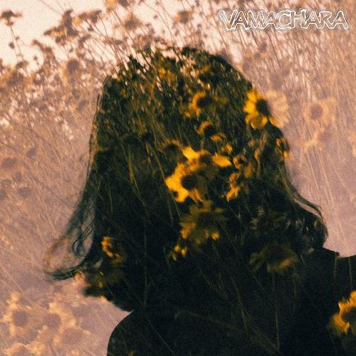 Vamachara - Hereafter LP - Grindpromotion Records
