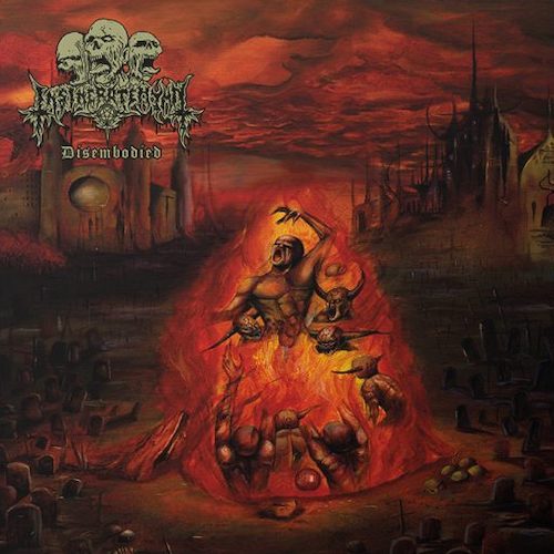 Insineratehymn - Disembodied LP