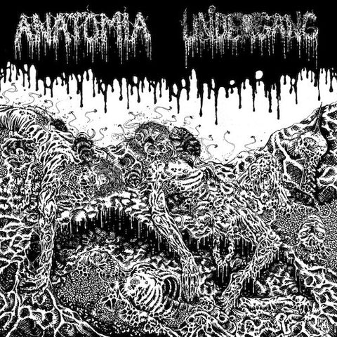 Anatomia / Undergang ‎– Anatomia / Undergang LP