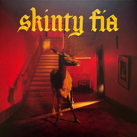 Fontaines D.C. ‎– Skinty Fia LP / 2XLP