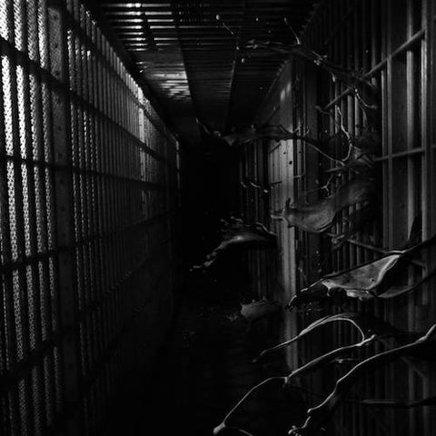 Regional Justice Center - Institution LP