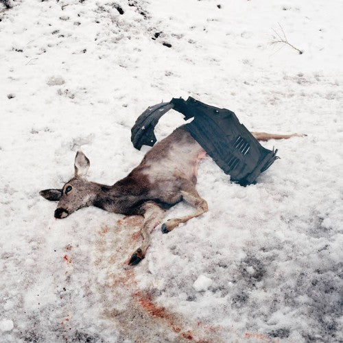 White Ward - Debemur Morti 10"