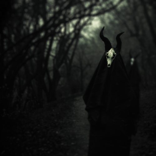White Ward - Futility Report LP