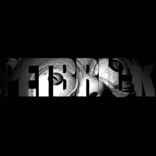 Pet Brick ‎– Pet Brick LP - Grindpromotion Records