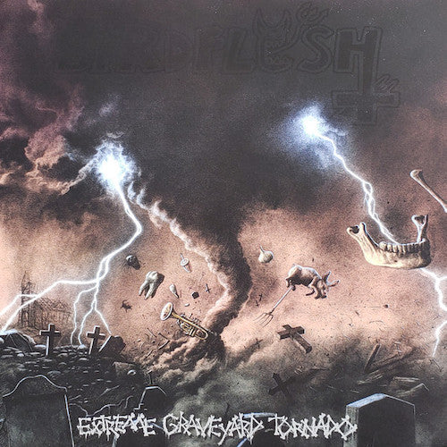 Birdflesh ‎– Extreme Graveyard Tornado LP
