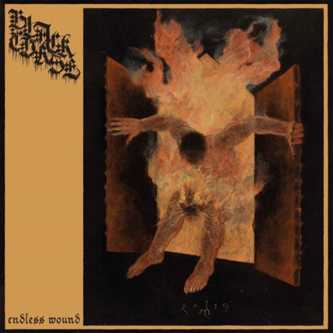 Black Curse – Endless Wound LP