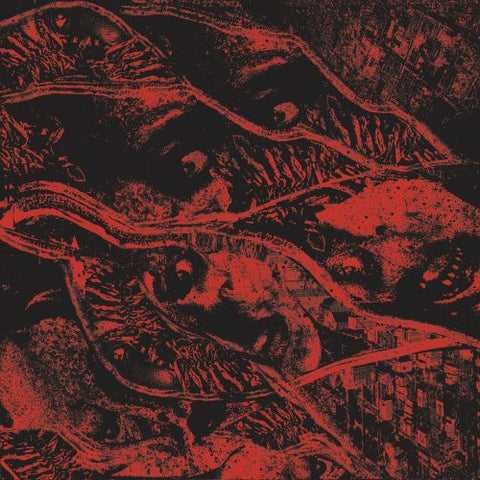 Vermin Womb – Retaliation LP