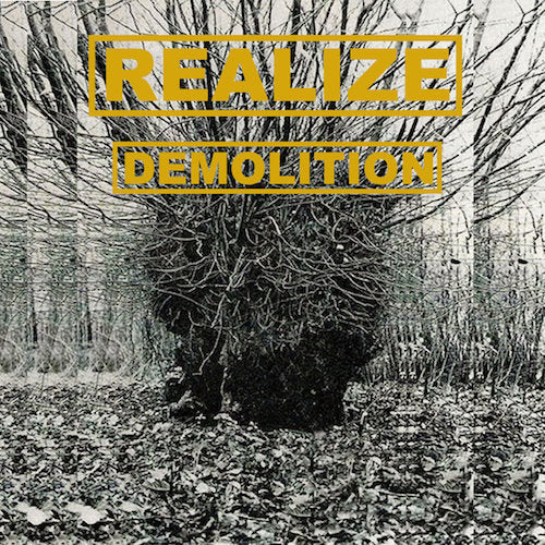 Realize ‎– Demolition LP - Grindpromotion Records