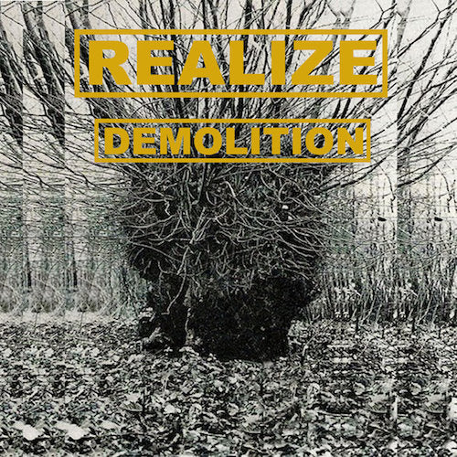 Realize ‎– Demolition LP - Grindpromotion Records