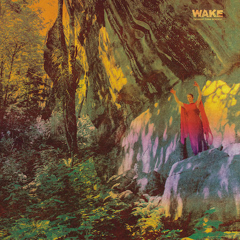 Wake - Thought Form Decent LP