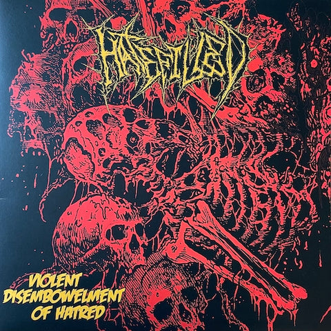 Hatefilled - Violent Disembowelment LP