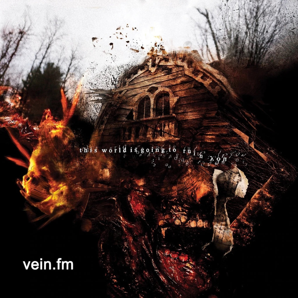 Vein.fm - This World Is Going To Ruin You LP