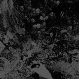 Primitive Man / Unearthly Trance - Primitive Man / Unearthly Trance Split LP - Grindpromotion Records