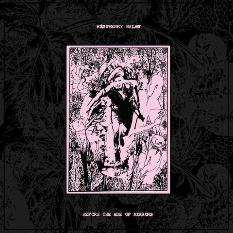 Raspberry Bulbs ‎– Before The Age Of Mirrors LP