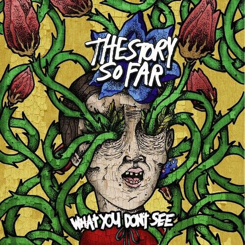 The Story So Far – What You Don't See LP