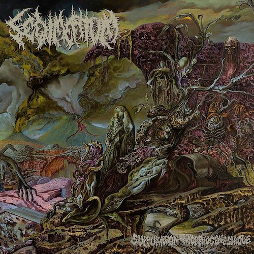 Sedimentum – Suppuration Morphogénésiaque LP