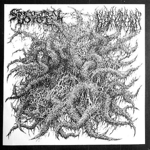 SPECTRAL VOICE / BLOOD INCANTATION – Split 7”