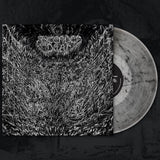 Ascended Dead - Evenfall Of The Apocalypse LP