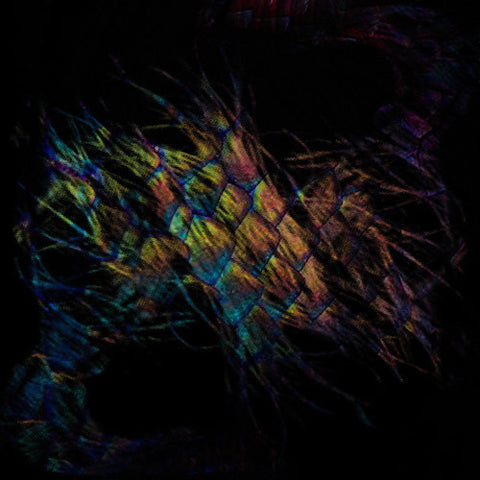 Vaura ‎– Sables LP (Clear Vinyl)