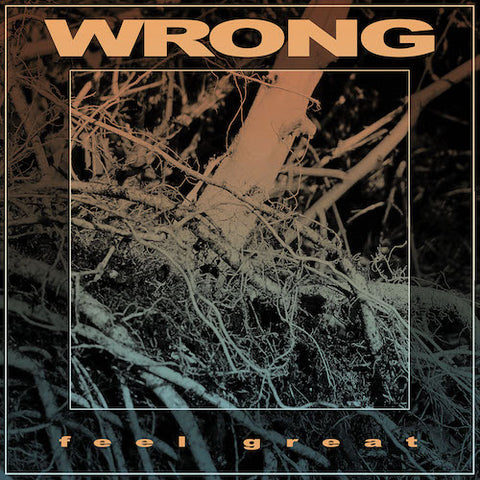 Wrong - Feel Great LP