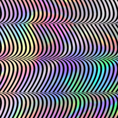 Merzbow - Pulse Demon Reissue 2XLP